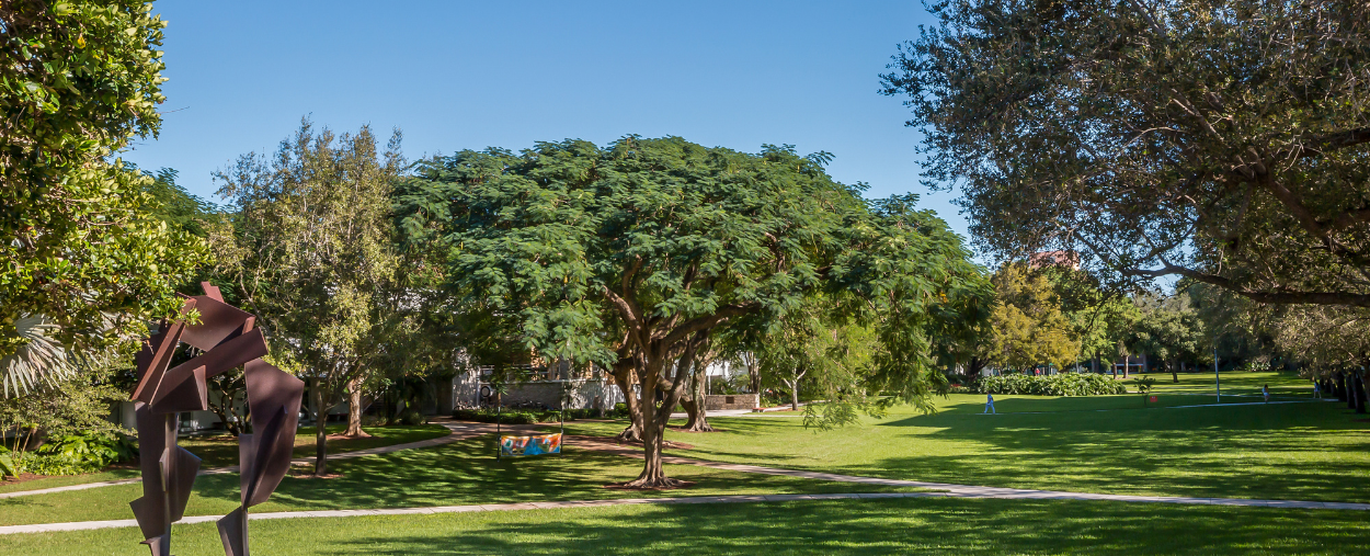 Campus green trees